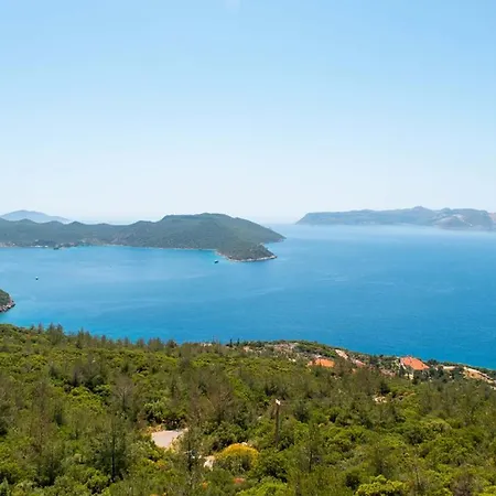 Accommodatie bij particulieren Golden Rose