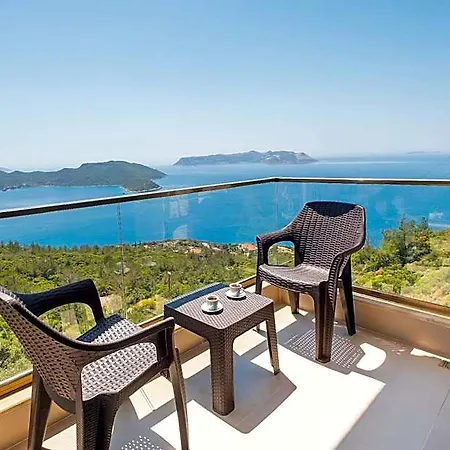 Golden Rose Проживание в семье *