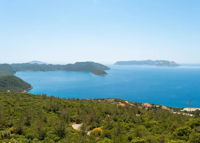 Homestay Golden Rose